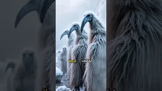 ما وراء الجدار الجليدي كائنات اخرى لا يريدونك ان تعرفها 