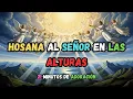Download Lagu Hosana al Señor en las Alturas – 21 Minutos de Adoración Celestial | PODEROSAS ALANBANZAS 2025