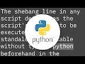Should I put shebang in Python scripts and what form should it take
