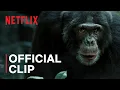 Chimp Empire Chimps Go to War Netflix