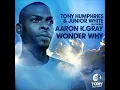 Wonder Why (Vocal Mix)