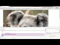 Displaying Images in server using Flask and Python