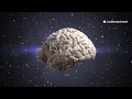 Your Brain Is A Time Machine
