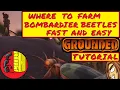 FARM Bombardier Beetles in Grounded FAST and EASY Grounded Tutorial September 2021