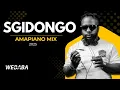 Download Lagu SGIDONGO MIX | AMAPIANO 2025 | DJ WEBABA