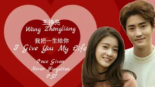 Download I Give You My Life 我把一生给你  -Wángzhēngliàng 王铮亮 | Once Given Never Forgotten OST LYRICS MP3