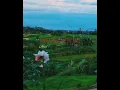 Download Lagu Arief-Bapisah Untuak Batamu lagu minang terbaru 2021 (official music video)