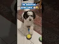 Can You Decode Snoopy s Birt ay Message
