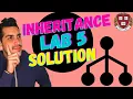 LAB 5 INHERITANCE SOLUTION CS50