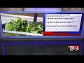 New cyclospora cases confirmed