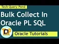 Oracle tutorial Bulk Collect In Oracle PL SQL
