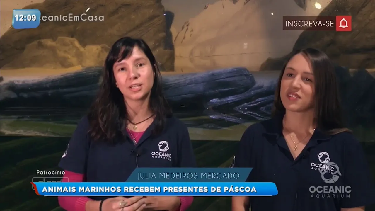 Animais marinhos recebem presentes de páscoa