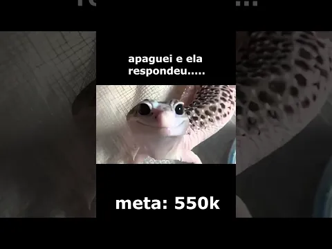 Apaguei a mensagem. Ela respondeu.