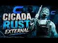 This NEW Rust External is UNFAIR CICADA RUST