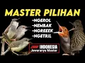 Download Lagu Lawan Auto Tepar!! MASTERAN BURCIL ROLL TEMBAK FULL SPEED RAPAT