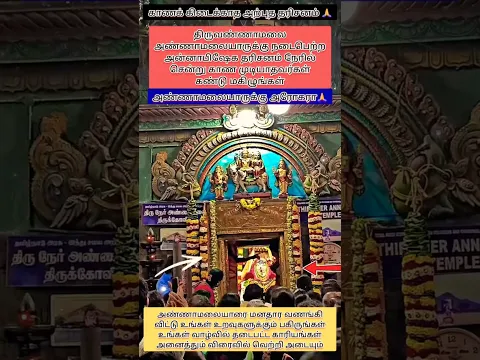 திருவண்ணாமலை அண்ணாமலையாருக்கு நடைபெற்ற அன்னபிஷேக தரிசனம்🙏#shorts #tamil #devotional #shortsfeed#shiv