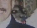 The Demon on Joe Martinez s Shoulder