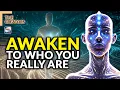 Lagu The Creators - Awaken to Who You Really Are