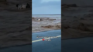 السيل يجرف سيارة على طريق عفيف 