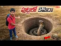 Lagu Entering Endoscopic📷Camera Into Snake🐍House🤯 పాము పుట్టలోకి కెమెరా కి పంపాము...😲😲 Telugu Experiments