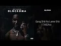 Key Glock - Gang Shit No Lame Shit (432hz)