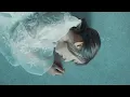 高瀬統也 / タイムレス feat.茉ひる （Official Music Video）