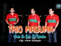 TRIO MADUMA || HO DO NA MIAN DI ROHAKKU  ||LAGU POP BATAK (OFFICIAL MUSIC VIDEO)