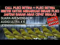 Download Lagu Call Pleci betina ngetir + terapi air untuk menaikkan birahi pleci bahan jantan agar cepat ngalas