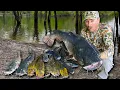 Catching 100 s of POUNDS of Catfish on LIMB LINES and BANK POLES