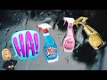 Moschino Fresh Couture Fragrances