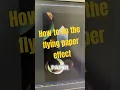 Flying paper effect with no plugins in after effects