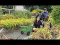 Download Lagu Een jaar lang aardappelen oogsten in mijn achtertuin!