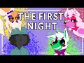 Minecraft Fnaf - The First Night Minecraft Roleplay