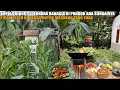 Download Lagu TIDAK PERLU KE PASAR UNTUK MAKANAN ENAK | IMPIAN HIDUP SEDERHANA TAPI BAHAGIA DI PONDOK KEBUN