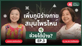 การออกกำลังกายอย่างไรจึงจะช่วยเพิ่มภูมิคุ้มกันได้จริง