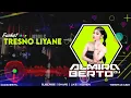 Lagu FUNKOT TRESNO LIYANE - DJ ALMIRA BERTO - VIRAL TIKTOK 2024.