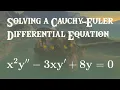 Differential Equations Euler Equations Example 3