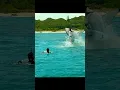 Download Lagu A Great White Shark Attacked and Ate two surfers 😱🫣 #shorts #viral