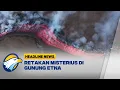 Download Lagu [HEADLINE NEWS 15/08] Gunung Berapi Teraktif di Eropa Lepas Lava dari Retakan Baru!
