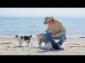 Download Lagu I went to every cat island in Japan