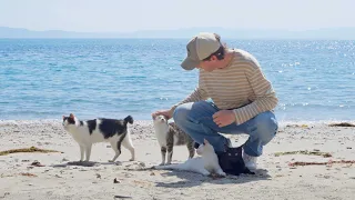 Exploring Japan's 'Cat Islands'