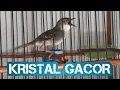 Download Lagu CIBLEK KRiSTAL GACOR DORRR