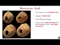 Paleolithic Art and Sculptures