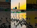 Download Lagu Muhammadun Sayyedun konayni Wa Sakalyni Wal Hafizulla Ty