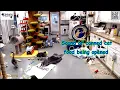 How To Call Cats 08-15-2026 by StripeyD Friends of Felines Rescue Center FFRC