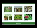 Online Nursery Store Spring Boot Angular Project Tutorial Spring Boot CRUD Project