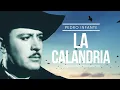 Pedro Infante - La Calandria (Video con Letra)
