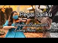 Lagu Pegai Jariku (Official Video Lyrics)