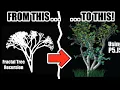 Pro-Tips for Better Recursive Trees in p5 js