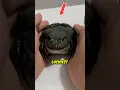 Download Lagu Richest Frog Ever… 🤑